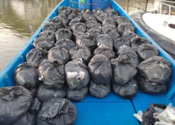SEBAHAGIAN daripada daun ketum yang dirampas di perairan Kuala Kedah, Alor Setar semalam.
