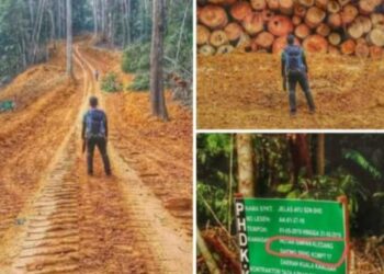 GAMBAR kayu balak disusun yang didakwa berlaku di Kledang Saiong, Kuala Kangsar tular dalam media sosial sejak Selasa lalu. - UTUSAN/MEDIA SOSIAL