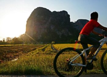 SEORANG kanak-kanak berbasikal melintasi pemandangan sawah padi menguning ketika Monsun Timur Laut mula melanda Perlis yang membawa tiupan angin sejuk pada waktu malam dan panas terik pada waktu siang di Kampung Balik Bukit, Chuping, Perlis.– UTUSAN/SYAMIL ABD. RAHMAN