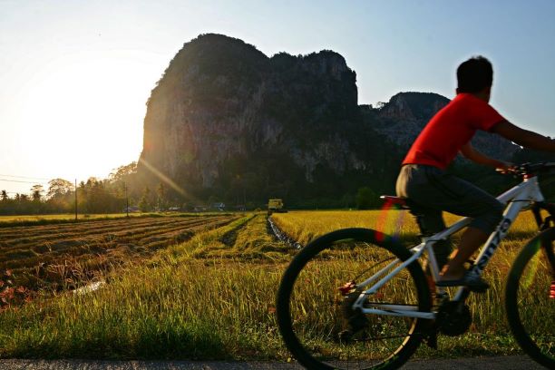 Perlis kedai basikal Buy Bicycles