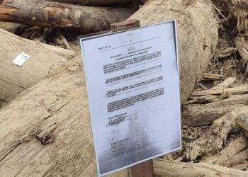 KAYU-KAYU balak yang dikumpul dan diletakkan tanda notis ‘kayu balak tidak dituntut’ merupakan antara prosedur pembersihan dilakukan Jabatan Perhutanan Negeri Pahang. - SUMBER MEDIA SOSIAL FACEBOOK