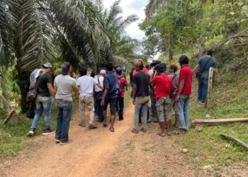 SEBAHAGIAN penagih dadah yang ditangkap dalam Op Tapis dan Sarang yang dijalankan selama dua hari di sekitar Tampin bermula kelmarin.