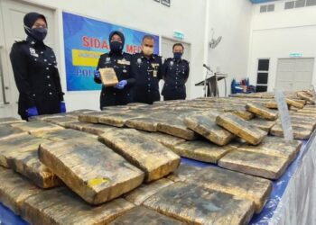 SURINA Saad (dua dari kiri) menunjukkan ketulan ganja mampat yang dirampas dalam beberapa siri serbuan sekitar Perlis dalam sidang akhbar di Ibu Pejabat Kontinjen Perlis di Kangar, Perlis hari ini. - UTUSAN/SYED AZLAN SAYID HIZAR