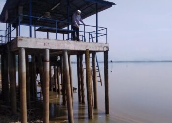 KEADAAN air di Tasik Bukit Merah di Bagan Serai yang surut berikutan cuaca panas. -  UTUSAN/WAT KAMAL ABAS