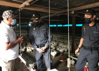 AZMAN Adam (dua dari kiri) melawat ladang ternakan ayam  di Kampung Lepan Jaya, Gua Musang, Kelantan. - UTUSAN/AIMUNI TUAN LAH
