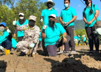 NASARUDDIN Abdul Muttalib (duduk, kanan) menanam pokok bakau minyak semasa Program Menanam Pokok Bakau di Biogeotrail Kubang Badak, Langkawi hari ini. - UTUSAN/NUR AMALINA AZMAN