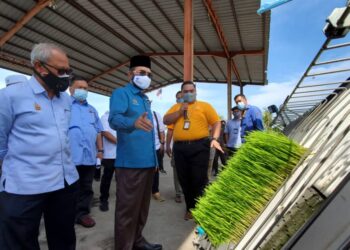NIK Muhammad Zawawi Salleh (tengah) diberi penerangan mengenai penanaman padi wangi ketika lawatannya dalam Smart SBB di Jalan Tali Air 3, Sekinchan di Sabak Bernam, Selangor, hari ini.
