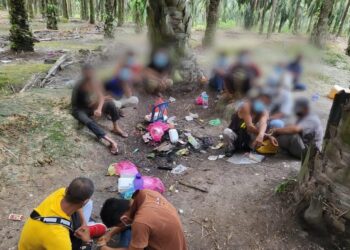 PENAGIH dadah yang ditahan dalam Ops Sarang Khas di kebun kelapa sawit di sekitar Beruas semalam. - UTUSAN/IHSAN PDRM