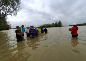 AZLI Jaafar (dua kiri) bersama petani lain menunjukkan kawasan sawah padi diusahakan mereka di Kampung Luar, Rantau Panjang yang dinaiki air paras pinggang semalam. – UTUSAN/YATIMIN ABDULLAH