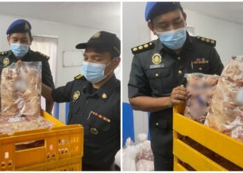 ANGGOTA penguatkuasa KPDNHEP melihat produk ayam dan burung puyuh sejuk beku yang disita daripada sebuah premis pemprosesan ayam yang menggunakan logo halal tanpa perakuan di Seremban hari ini.