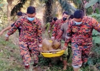 PASUKAN penyelamat mengusung lelaki OKU kategori lembam yang terjatuh ke dalam lumpur di Kampung Teladas, Air Putih, di Kemaman hari ini.