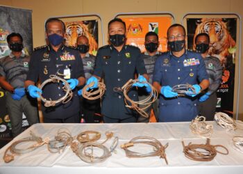 ABDUL Kadir Abu Hashim (tengah) bersaRazarudin Husin (kiri) dan Abdullah Jaafar (kanan) menunjukkan jerat haiwan liar yang digunakan pada sidang akhbar Operasi Bersepadu Khazanah di Desaru, Kota Tinggi, di sini. -UTUSAN/RAJA JAAFAR ALI