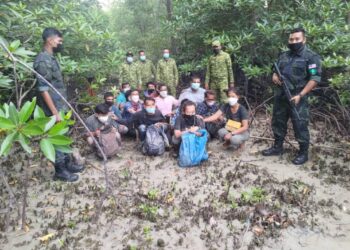 KESEMUA 14 PATI bersembunyi dalam semak ketika ditangkap pasukan polis dan Rela selepas dua tekong mereka ditahan dekat Jalan Banting-Sepang, Morib di Kuala Langat, Selangor, semalam.