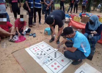 SEBAHAGIAN warga negara Indonesia yang ditahan dalam Op Dadu di sebuah kebun kelapa sawit di Kampung Sungai Tok Pawang, Bedong, Sungai Petani semalam.