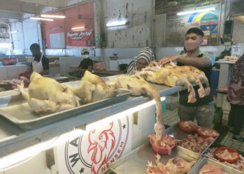 WAN Mohamad Afiq Wan Ahmad Fauzi menyusun ayam yang dijual di Pasar Besar Alor Setar, hari ini. - UTUSAN/MOHD. RAFIE AZIMI