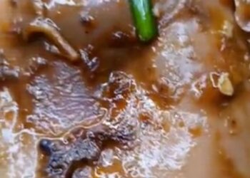 TANGKAP layar memaparkan satu juadah berbuka yang dibeli di bazar Ramadan Putrajaya yang dicemari ulat.