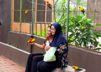 PENGUNJUNG berpeluang memberikan makanan kepada burung Sun Cunure melalui produk baharu Aviary Feeding diperkenalkan Zoo Melaka, Ayer Keroh, Melaka. - UTUSAN/DIYANATUL ATIQAH ZAKARYA