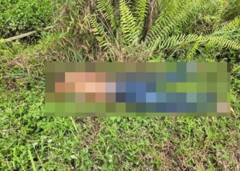 MAYAT seorang lelaki dipercayai warga Bangladesh ditemukan di tepi jalan Kuari Batu 11, Jalan Labu, Nilai, Seremban tengah hari tadi.