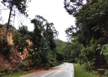KEJADIAN tanah runtuh dan pokok tumbang di Jalan Kampung Batu-Inas menuju ke Kuala Pilah berhampiran Kampung Kabong, Kuala Pilah hari ini. - UTUSAN/NOR AINNA HAMZAH