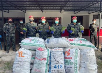 RAMLI Wan Salin (tiga dari kanan)  menunjukkan daun ketum yang dirampas oleh PGA di sebuah kebun getah di Wang Kelian dalam sidang akhbar di PB11, Padang Besar, Perlis hari ini.- UTUSAN/NAZLINA NADZARI
