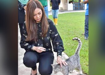 TENGKU Permaisuri Norashikin mengingatkan masyarakat tidak bertindak zalim dan menganiaya haiwan peliharaan, jika sabit kesalahan boleh dikenakan hukuman di bawah Akta Kebajikan Haiwan 2015.