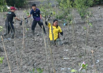 SEBAHAGIAN daripada peserta yang menanam pokok bakau di pesisiran pantai Kampung Sungai Limau Dalam, Yan, hari ini.