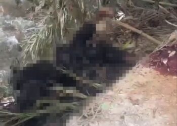 KEADAAN mayat dipercayai wanita yang disyaki dibunuh dan dibakar di tepi sungai dekat Kampung Talang Hulu, Kuala Kangsar.