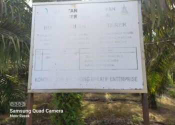 TERDAPAT papan tanda yang menunjukkan
projek penanaman pokok nadir oleh Jabatan
Perhutanan tetapi dipenuhi tanaman sawit.