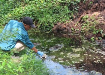 KAKITANGAN JAS Johor memeriksa kandungan air Sungai Bahai yang tercemar akibat tindakan pihak kilang kelapa sawit di Kluang.