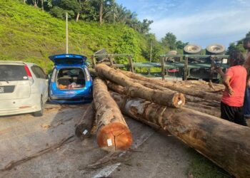 JALAN Gua Musang-Kuala Krai sesak lebih jam selepas treler balak terbalik di Kilometer 65, Jalan Gua Musang-Kuala Krai, semalam. - IHSAN POLIS
