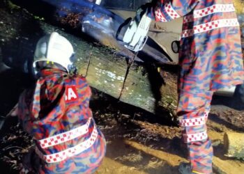 BOMBA mengalihkan pokok tumbang di sekitar Selangor malam tadi.