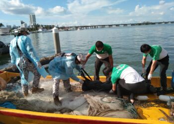 SEORANG nelayan yang terjatuh dari bot semasa memukat ikan ditemukan maut akibat lemas di perairan Pulau Jerejak, Pulau Pinang.