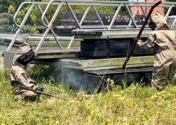 ANGGOTA JBPM memusnahkan sarang tebuan di pelantar jeti usang di Kampung Tok Jembal, Kuala Nerus, Terengganu, hari ini. - 
UTUSAN/TENGKU DANISH BAHRI TENGKU YUSOFF