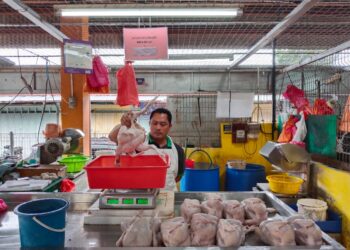 ASRUL NIZAM Mohd. Noor tidak lagi mengenakan caj perkhidmatan kepada pelanggannya selepas harga ayam di peringkat penternak turun dalam tempoh beberapa hari kebelakangan ini. - UTUSAN/MUHAMMAD SHAHIZAM TAZALI