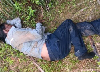 PEKERJA ladang patah pergelangan kaki kiri dipijak gajah dalam kejadian di ladang Semantan Mentakab di Temerloh, Pahang.