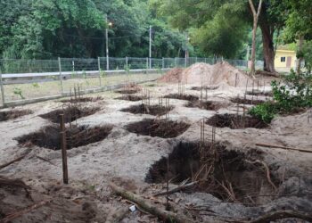KERJA- kerja pembangunan tanah yang sedang giat dilakukan di kawasan pantai Teluk Ketapang yang menjadi lokasi pendaratan penyu di Pulau Pangkor. - UTUSAN
