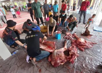 PENDUDUK bergotong-royong melapah daging korban di Masjid Al-Aminin, Batang Tiga, Klebang, Melaka. - UTUSAN/AMRAN MULUP