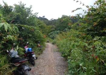 LALUAN masuk ke dusun kes kehilangan seorang lelaki sejak lima hari lalu di atas bukit sekitar Sungai Batu Pahat, Kangar, Perlis hari ini. - UTUSAN/ASYRAF MUHAMMAD