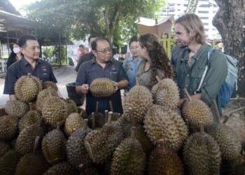 ZAINUDDIN Abdul Wahab menyantuni pelancong luar negara dalam Majlis Perasmian Pakej Durian Tourism 2022 di Hin Bus Depo, Georgetown, Pulau Pinang semalam. - UTUSAN/IQBAL HAMDAN