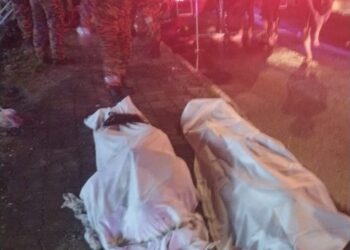 DUA maut, manakala dua lagi cedera selepas Proton Wira dinaiki mereka terbabas merempuh penghadang jalan sebelum terjunam ke dalam longkang di Danga Bay, Johor Bahru.