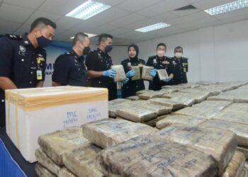SURINA SAAD menunjukkan ketulan mampat ganja bernilai RM750,000 yang dirampas daripada satu sindiket dalam sidang akhbar di IPD SPT, Pulau Pinang hari ini. - UTUSAN/IQBAL HAMDAN