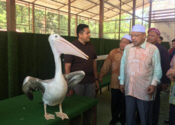 AHMAD Yakob (kanan) melihat spesis haiwan yang terdapat di Mini Zoo Kuala Krai selepas Program Perasmian Mini Zoo Kuala Krai dan Jupo Mato Bersama Rakyat Peringkat Jajahan Kuala Krai, Kelantan hari ini. -UTUSAN/ROSMIZAN RESDI