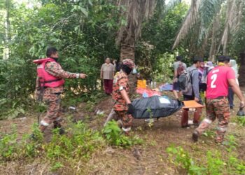 PASUKAN bomba mengangkat mayat mangsa dibaham buaya di Kota Kinabatangan semalam.