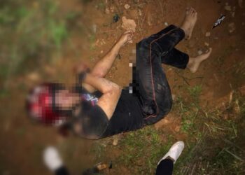 MUHAMMAD DANISH SAEDIN cedera parah akibat terlanggar seekor gajah yang melintas di Jalan Kluang-Kota Tinggi.