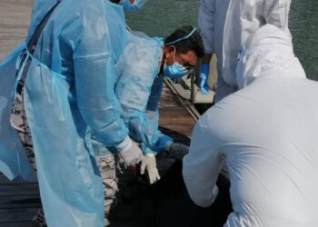 MAYAT seorang lelaki tanpa identiti diri ditemukan dalam keadaan terapung di perairan Padang Kota Lama, Georgetown, Pulau Pinang semalam.