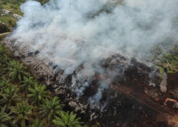 RAKAMAN udara menunjukkan kepulan asap dari sebuah premis memproses hampas kelapa sawit di Nibong Tebal, Pulau Pinang semalam susulan pembakaran terbuka yang dilakukan pemilik premis.