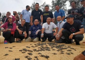 ROSLI Mat Hassan (barisan depan, tiga kiri) bersama Din Adam (barisan depan, empat kiri) melepaskan anak penyu agar sempena  sambutan 100 tahun Gerakan Koperasi dan Hari Kebangsaan Ke-65 di Pantai Rantau Abang, Dungun, hari ini.  - UTUSAN/NIK NUR IZZATUL HAZWANI NIK ADNAN
