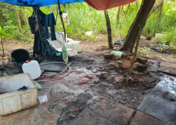 KEADAAN lokasi tapak perkhemahan di belakang sebuah rumah yang dijadikan ‘pot’ memproses ketum diserbu polis dalam operasi dilaksanakan sekitar Kampung Guar, Bukit Keteri, Perlis semalam. -UTUSAN