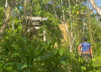 LOKASI bangunan lama dikatakan istana singgah milik Sultan Abu Bakar yang dibina sekitar 1960 atau 1970-an dikelilingi semak dan hutan di Kampung Melayu di Jerantut, Pahang. – UTUSAN/NORHAFIZAN ZULKIFLI