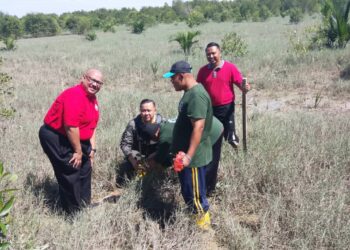 RIZAM (dua dari kiri) menanam anak pokok bakau selepas merasmikan Mangrove Project Briged Sukarelawan Kolej Komuniti (BriSK) Selangor di Teluk Mendeleng, Sungai Air Tawar di Sabak Bernam, Selangor, hari ini.